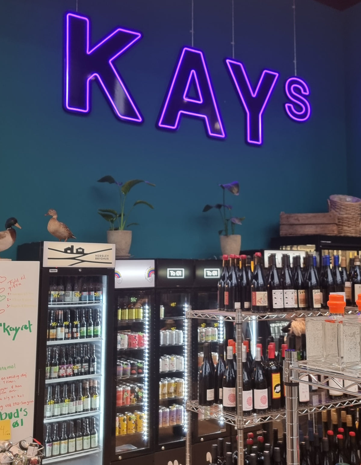 Lilla neonskilt med KAYs over køleskabe og vinreoler i en butik
